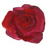 Rose Renegades