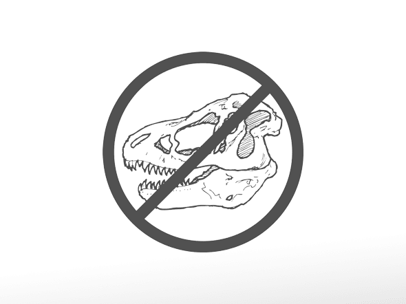 No Dinosaurs